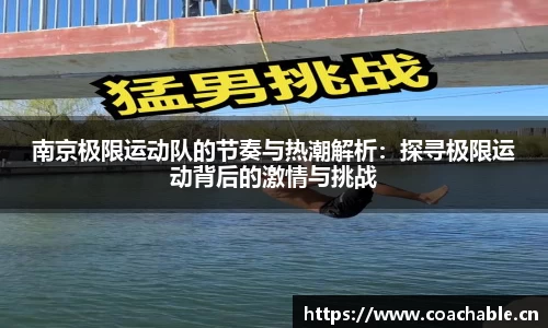 辉达娱乐