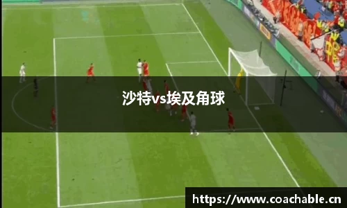沙特vs埃及角球