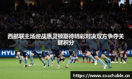 辉达娱乐