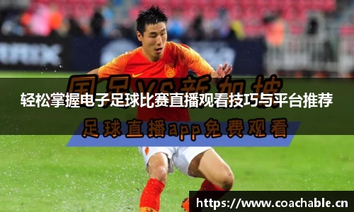 辉达娱乐官网