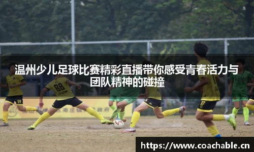辉达娱乐官网