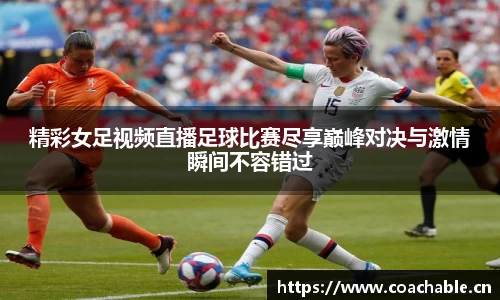辉达娱乐