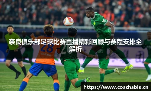 辉达娱乐登录