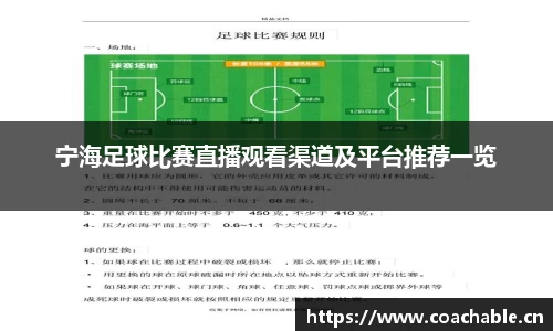 辉达娱乐
