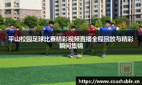 辉达娱乐官网