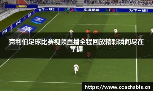 辉达娱乐