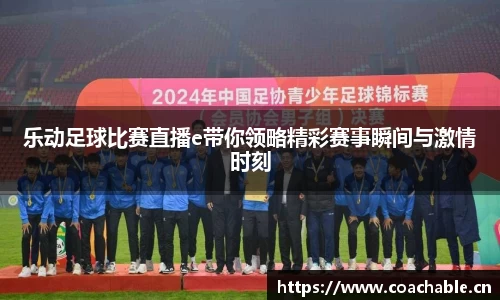 辉达娱乐