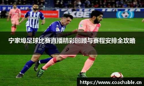 辉达娱乐登录