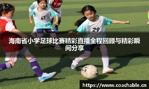 辉达娱乐登录