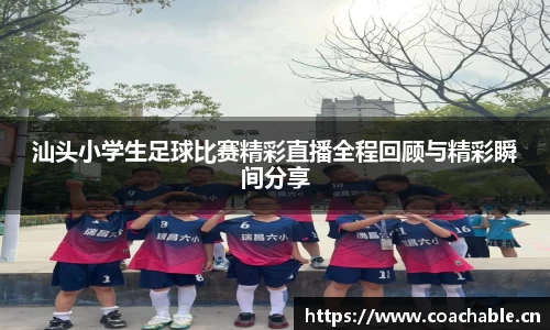 辉达娱乐