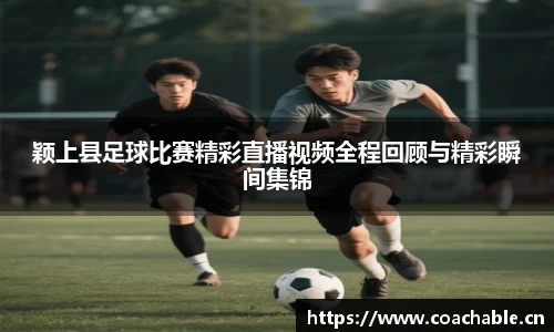 辉达娱乐官网