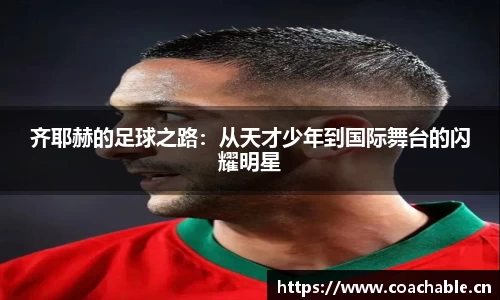 辉达娱乐登录