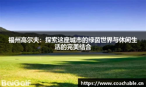 辉达娱乐