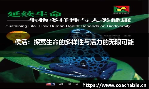 辉达娱乐