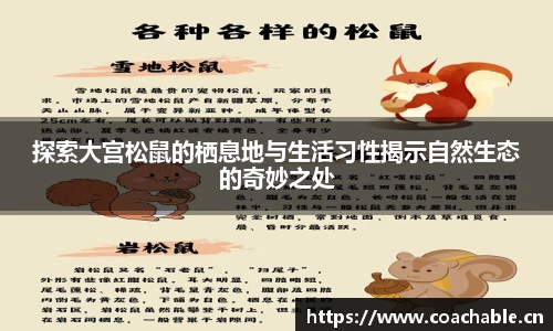 辉达娱乐注册