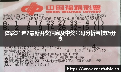 辉达娱乐